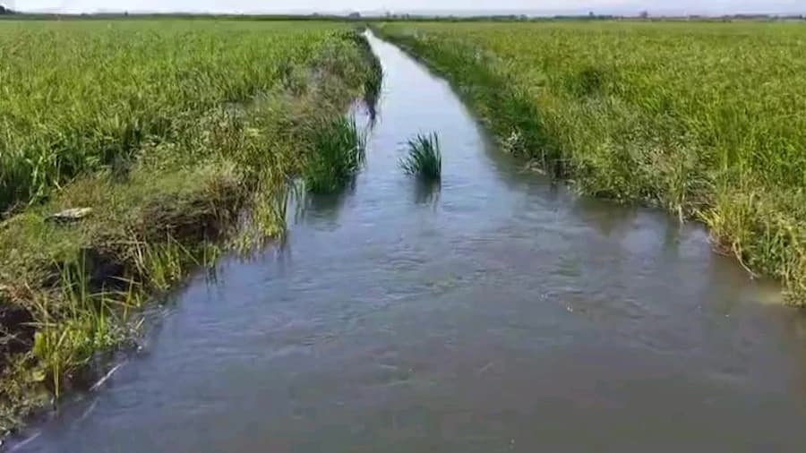 Çeltik Kanalı Hizmeti
