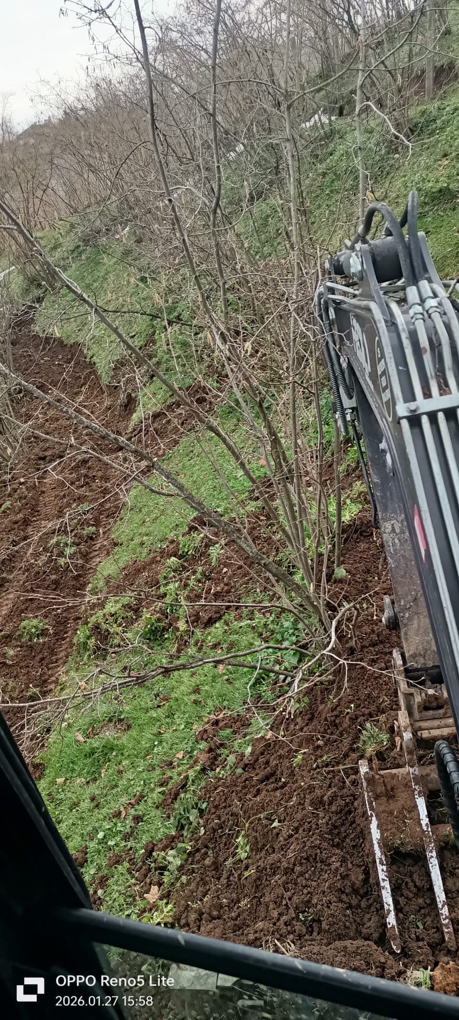 Fındık Sökümü Hizmeti