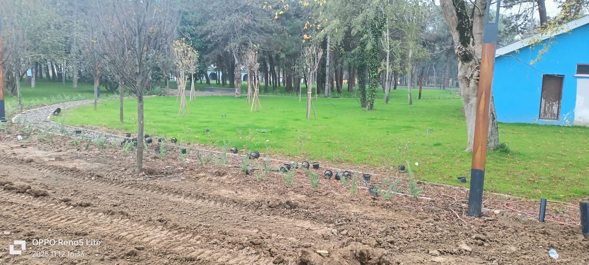 Bafra Mini Kepçe Hizmeti Proje 8 - Kazı İşleri ve Ekskavatör Kiralama Projesi